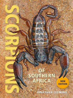 cover image of Scorpions of Southern Africa